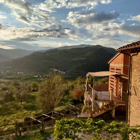 Agriturismo La Fontaccia Rufina Dış mekan fotoğraf
