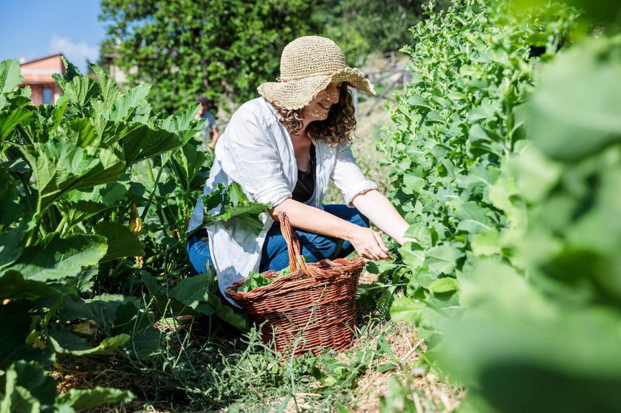 Agriturismo La Fontaccia Rufina Dış mekan fotoğraf