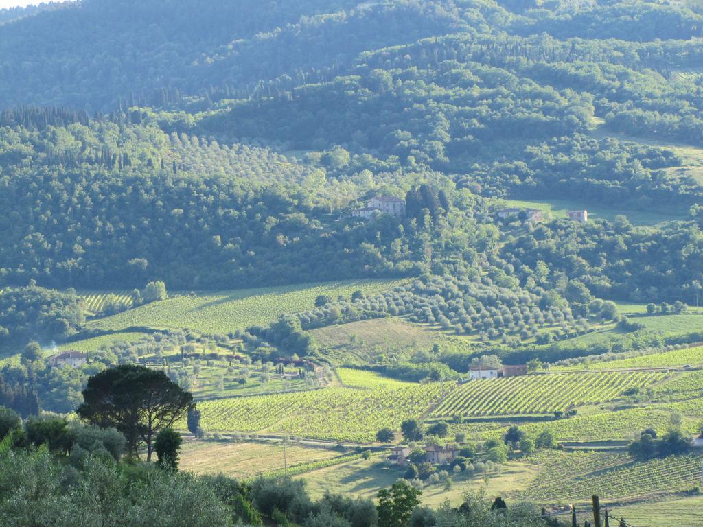 Agriturismo La Fontaccia Rufina Dış mekan fotoğraf