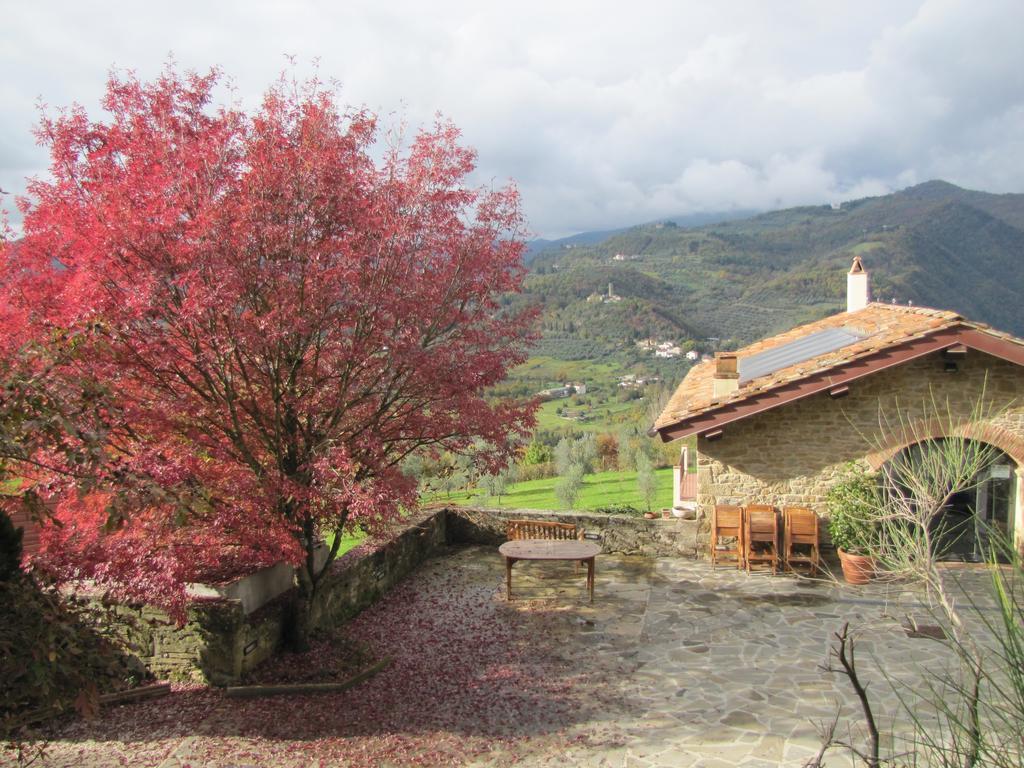 Agriturismo La Fontaccia Rufina Dış mekan fotoğraf