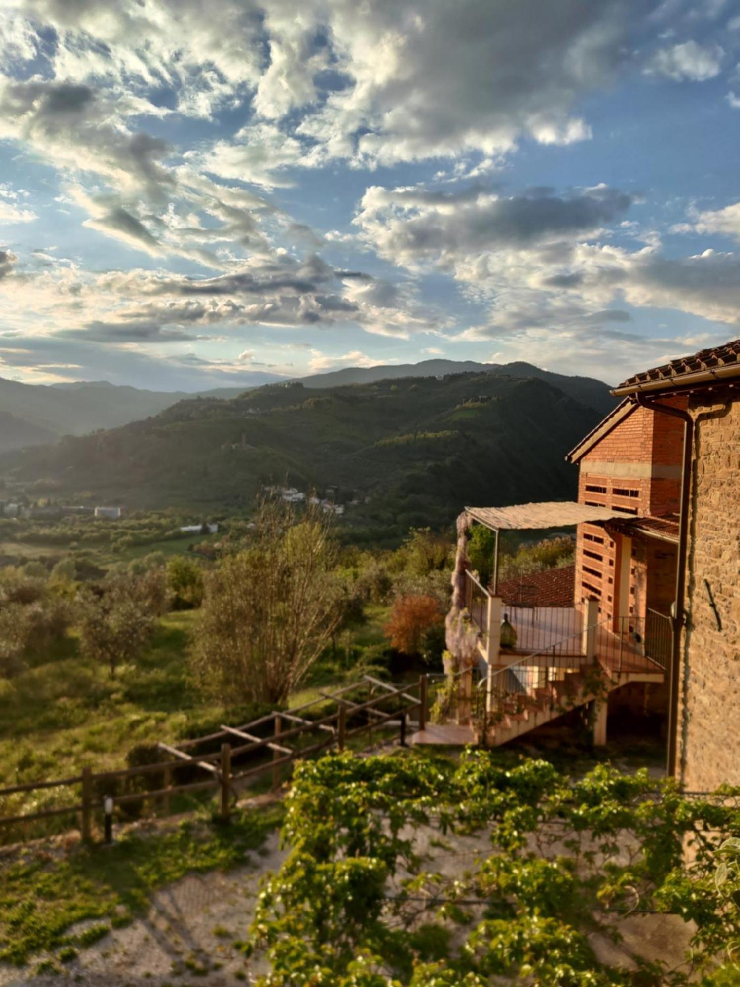 Agriturismo La Fontaccia Rufina Dış mekan fotoğraf