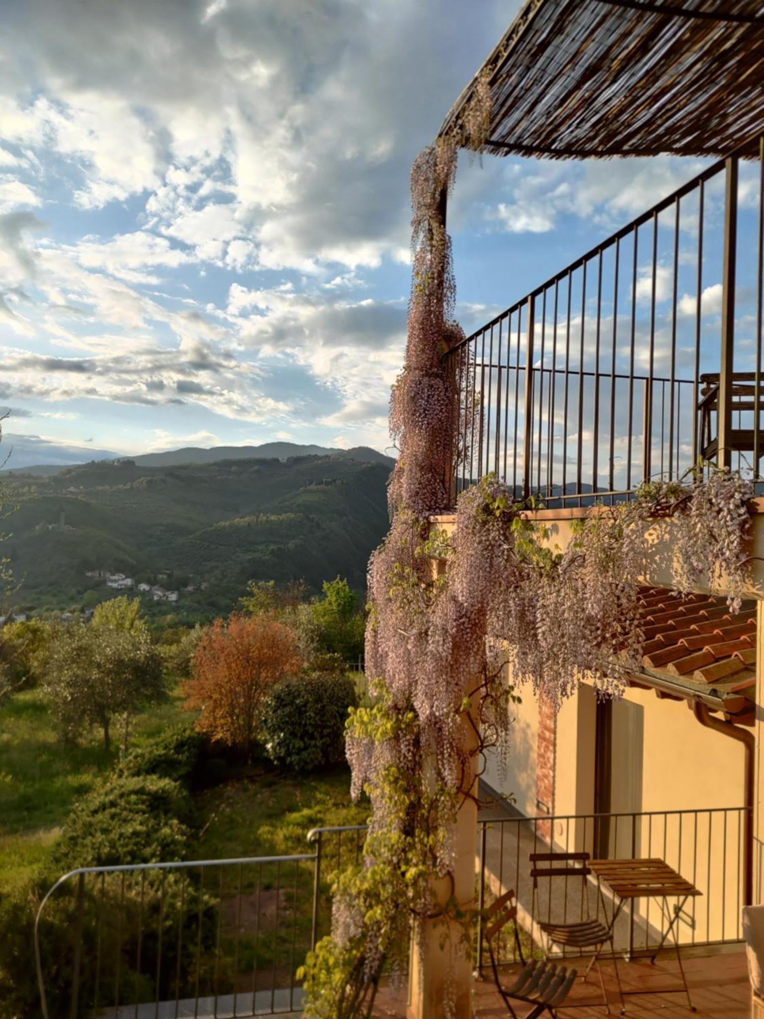 Agriturismo La Fontaccia Rufina Dış mekan fotoğraf