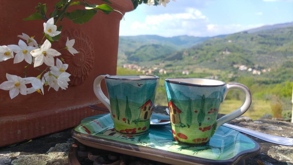 Agriturismo La Fontaccia Rufina Dış mekan fotoğraf